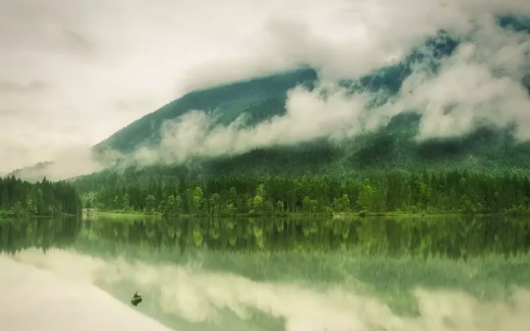 Calm, mountain lake, framed by high forested mountains, with early morning low clouds hovering above the water.